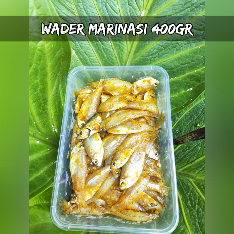 

(frozen food) Wader Marinasi 400gr(sudah berbumbu)//KHUSUS INSTAN AREA SEMARANG