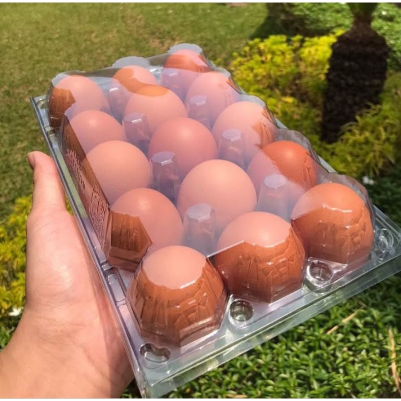 

Telur Ayam Fresh Super Premium Isi 15 butir