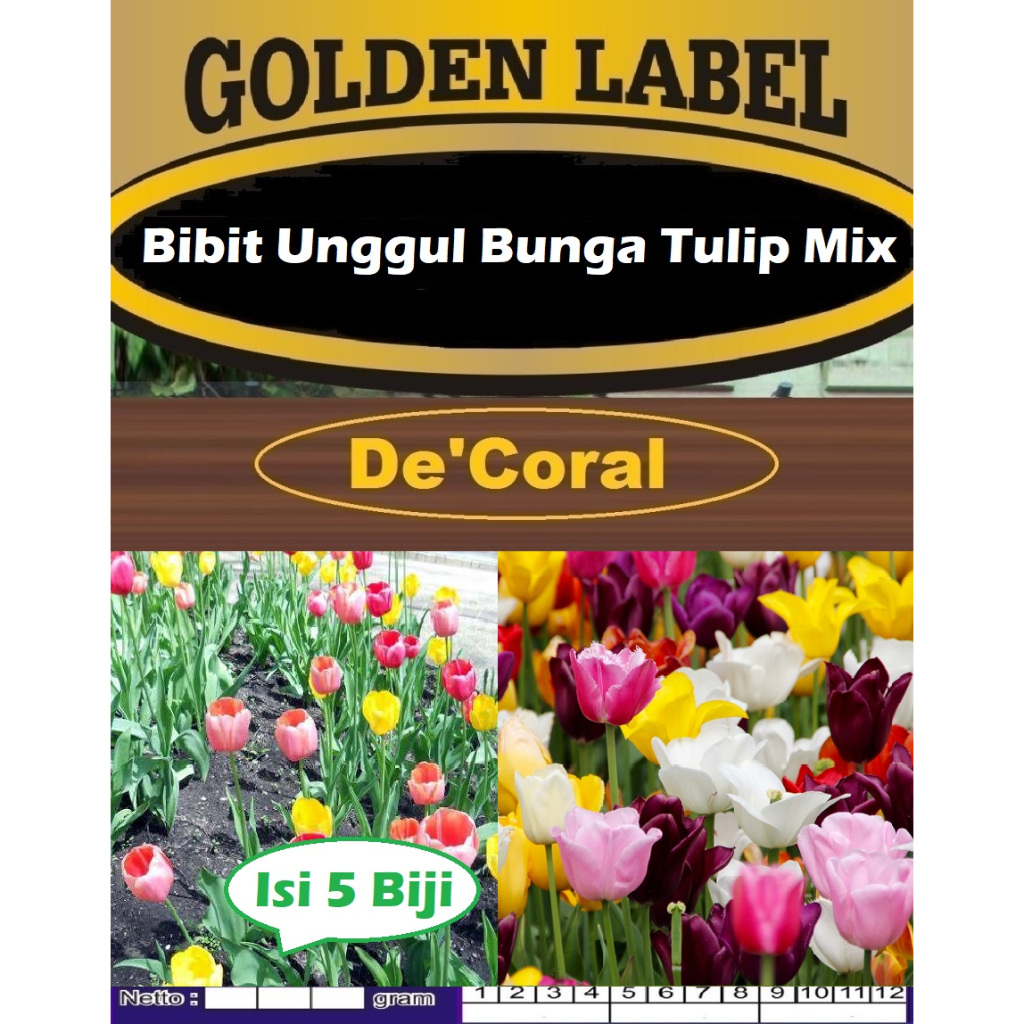 Bibit Unggul Bunga Tulip Mix | Biji Benih Bunga Tulip Warna Warni