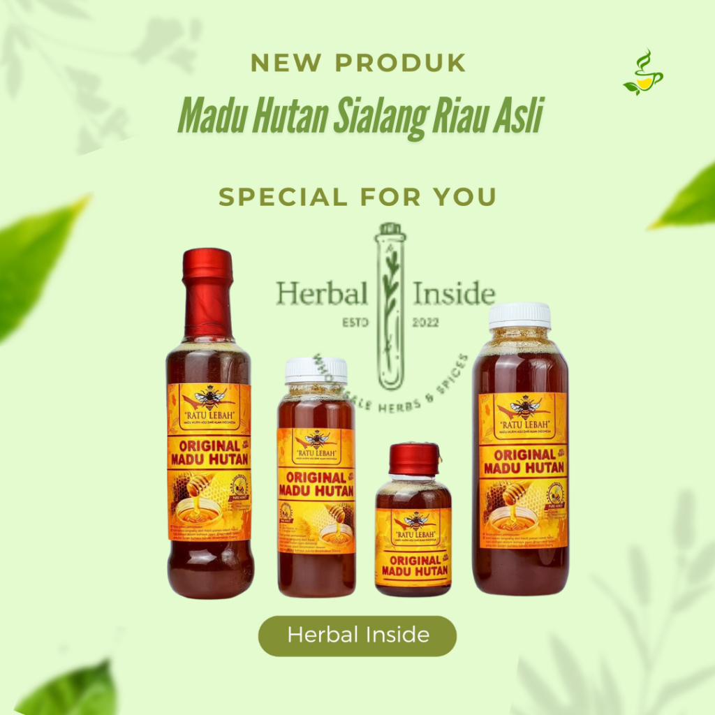 

Madu Hutan Asli Apis Dorsota Madu Murni Hutan Sialang Riau Sumatera