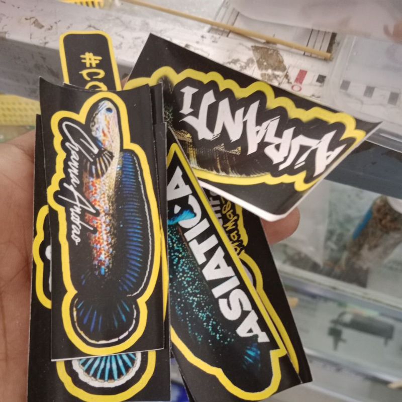 

sticker Limbata (isi channa asli) by AZRIL SNAKEHEAD