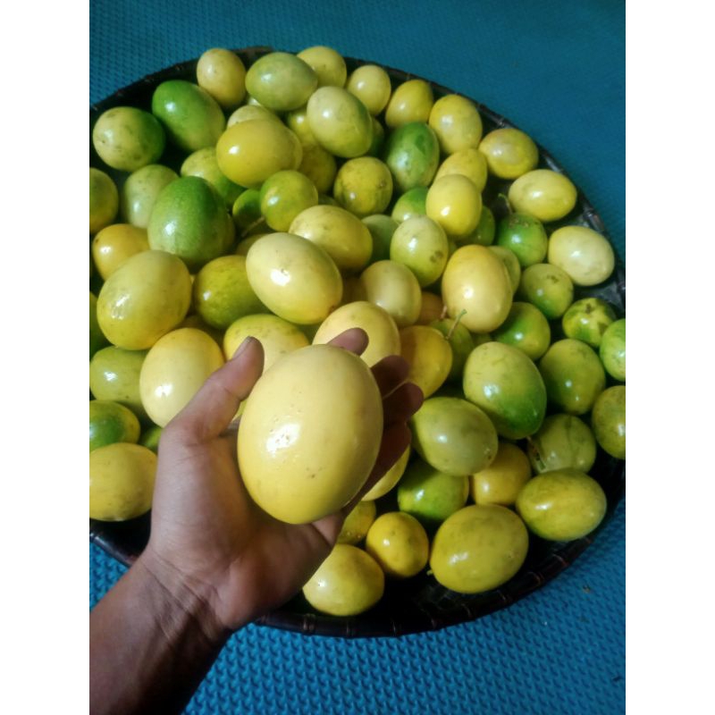 

buah markisa segar matang dari pohon /1kilo