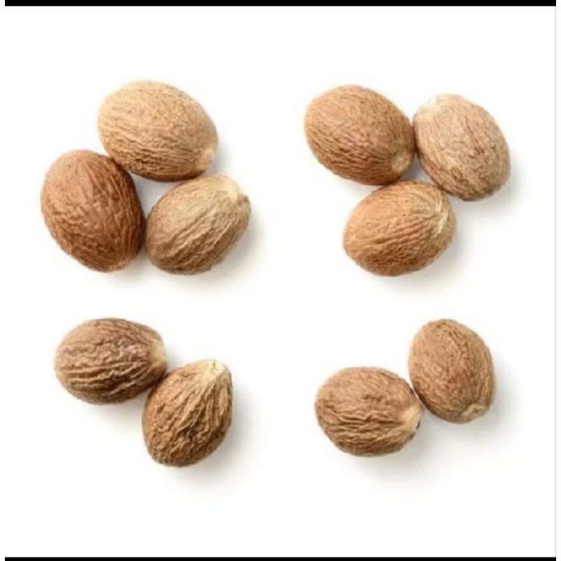 

PALA BIJI BUMBU PALA EXP 6/2026