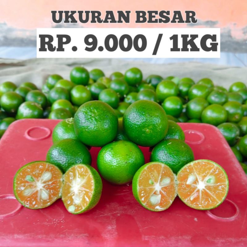 

1kg jeruk Sonkit jeruk kasturi jeruk kunci (ukuran besar)