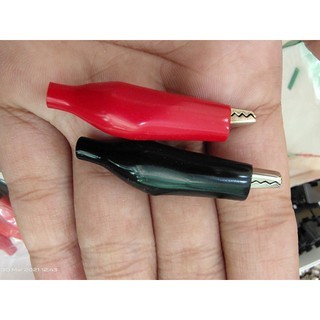 Capit buaya kecil capit aki