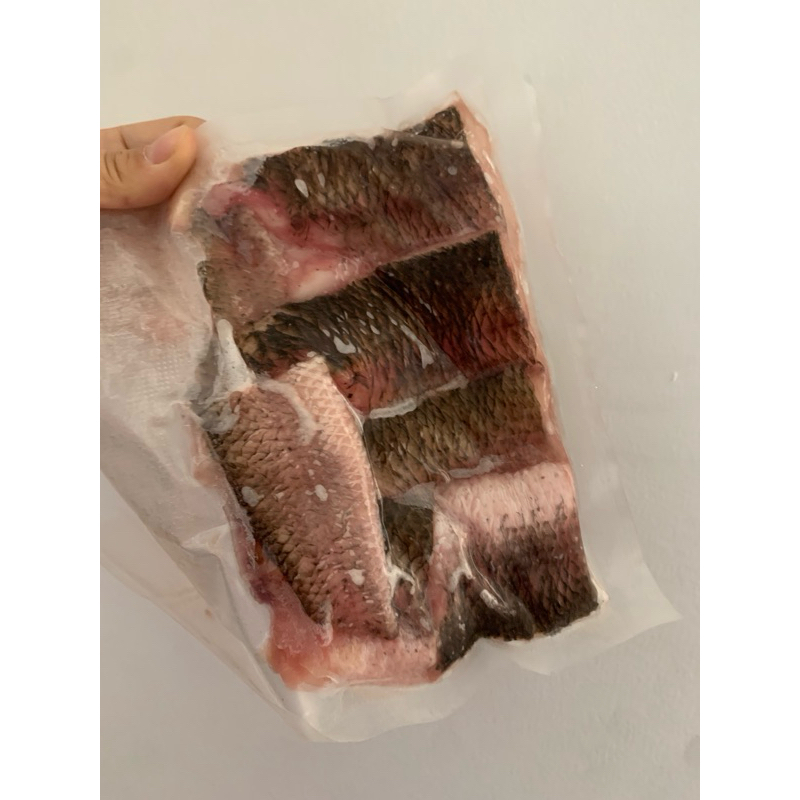 

ikan gabus fillet harta karun MPASI 400an gr