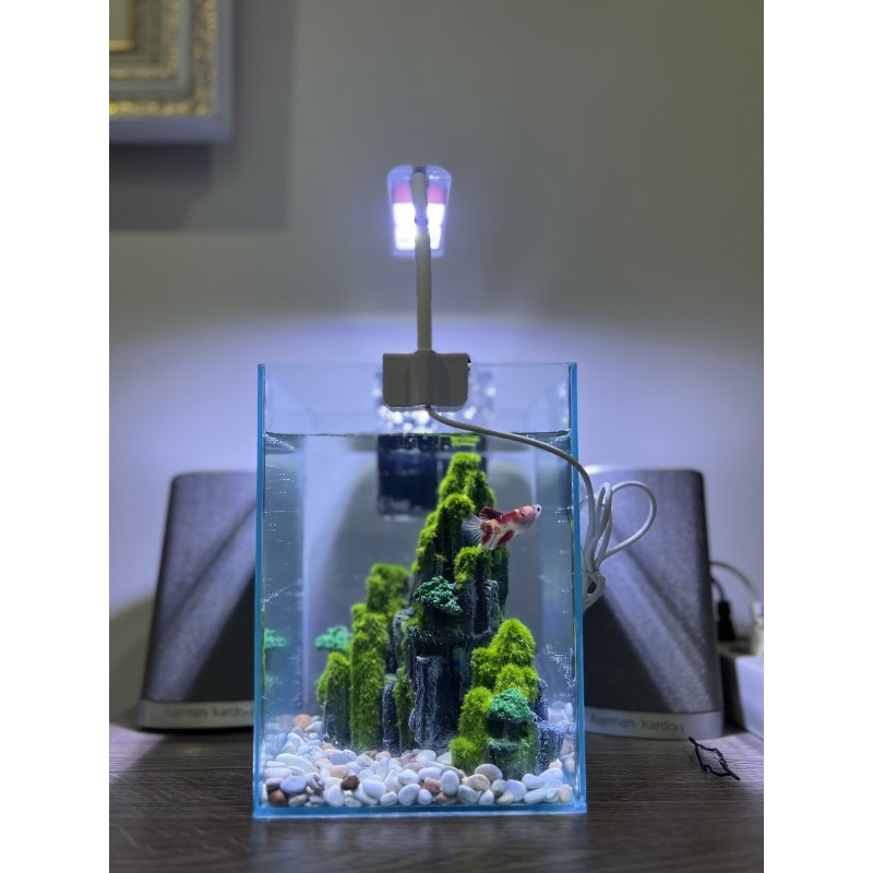 Aquarium Aquascape Komplit Cupang, molly, guppy, mas koki, glofish, glowfish, beta, goldfish