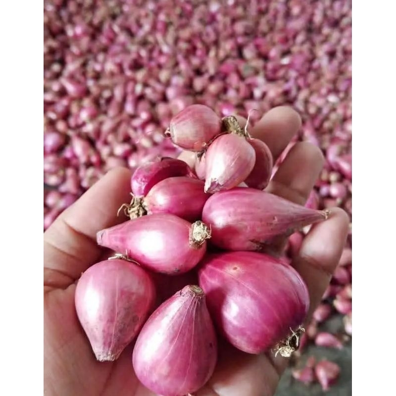 

Bawang Merah Sedang mix BESAR 1kg Nganjuk