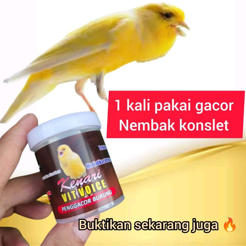 kenari vit voice vitamin penggacor kenari gacor seketika  pasti Gacor   vitamin herbal kenari gacor 