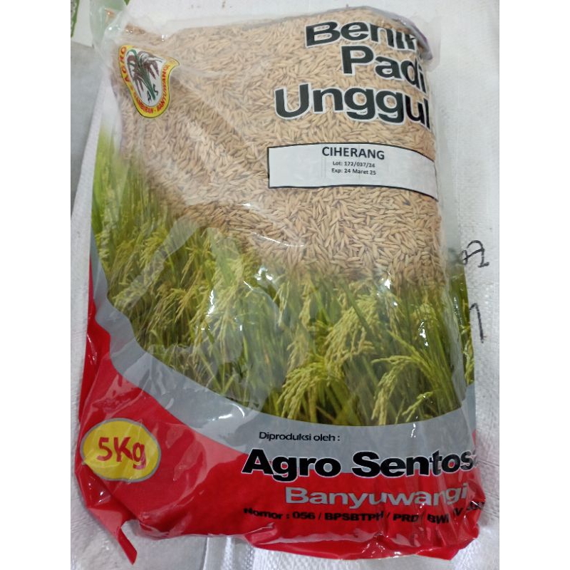 benih padi ciherang agro sentosa @5kg exp 07-01-2026