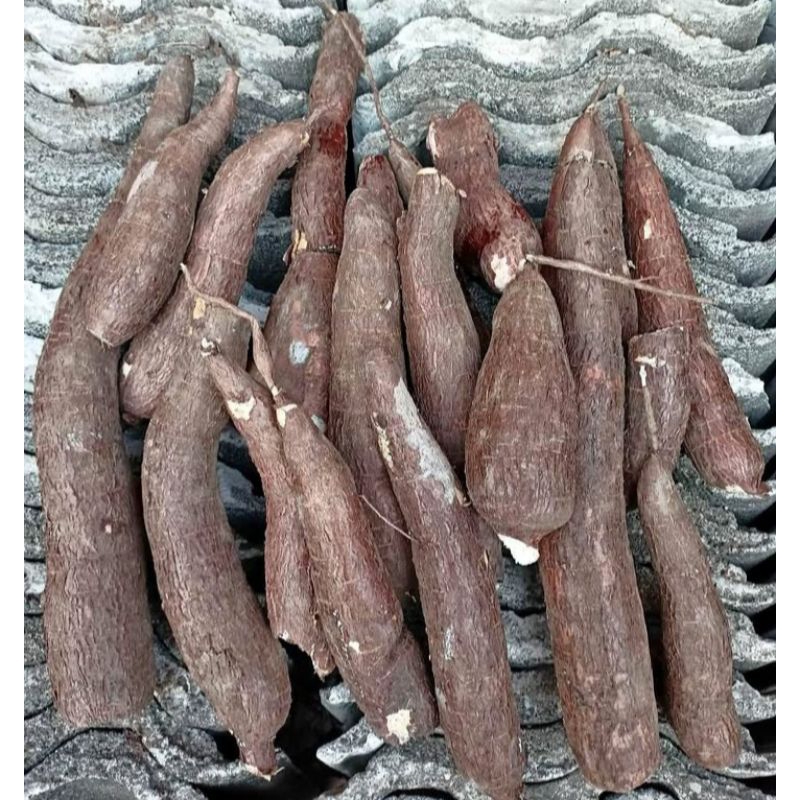 

SINGKONG 1 KG