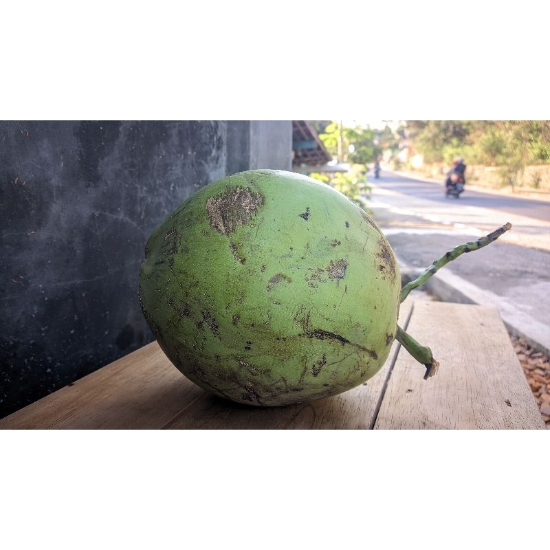 

kelapa muda