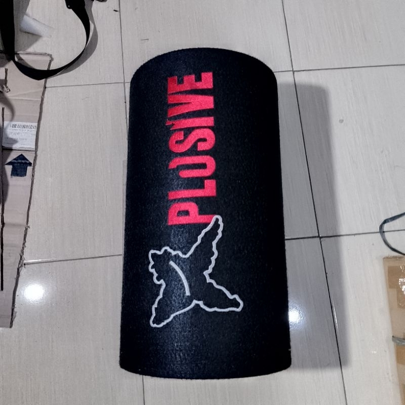 subwoofer 10 inch Xplosive