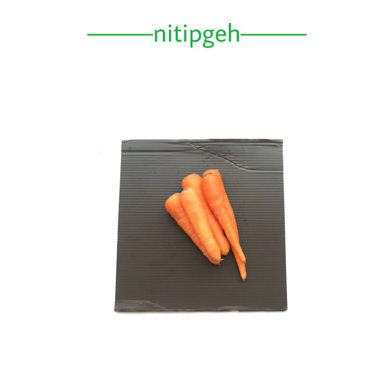 

nitipgeh Wortel segar fresh 250gr
