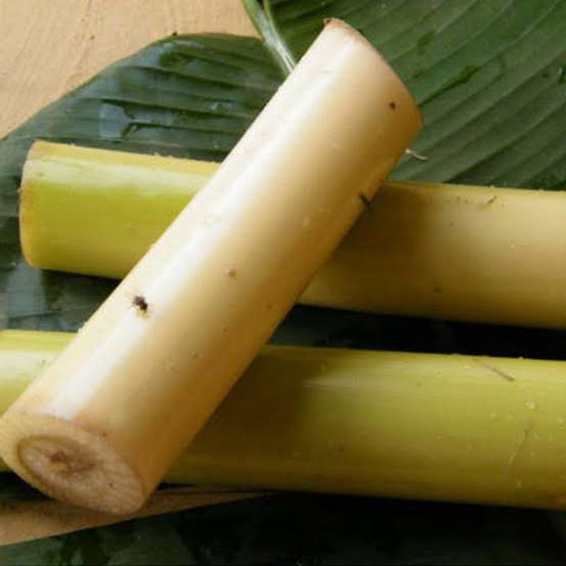 

Bonggol/Batang Pisang Muda 1kg