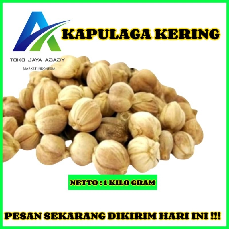 

Kapulaga Kering 1KG | Kapolaga | Kapol | Kapulaga Lokal Asli