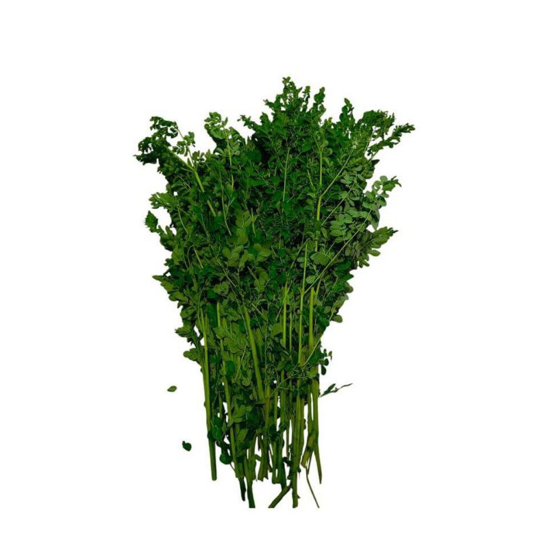 

Daun Kelor 1 kg