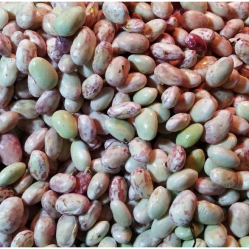 

KACANG ENDUL Super Fress 1 Kg