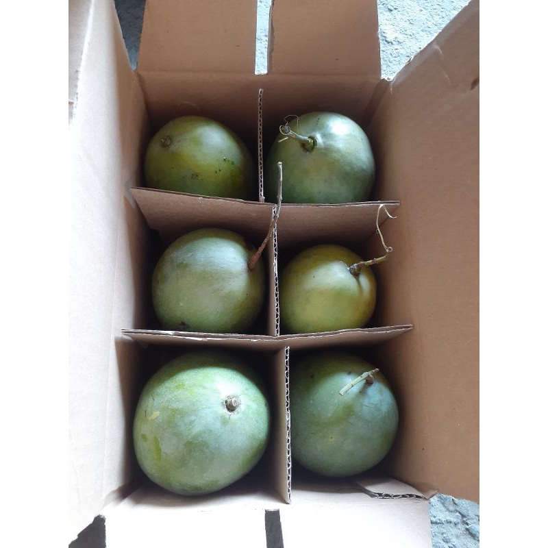 

Mangga Putar Maslahat Grade B kemasan 5Kg