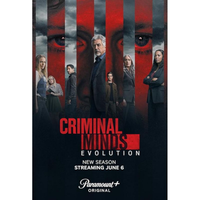 DVD CRIMINAL MINDS SEASON 17 (2 DISC)