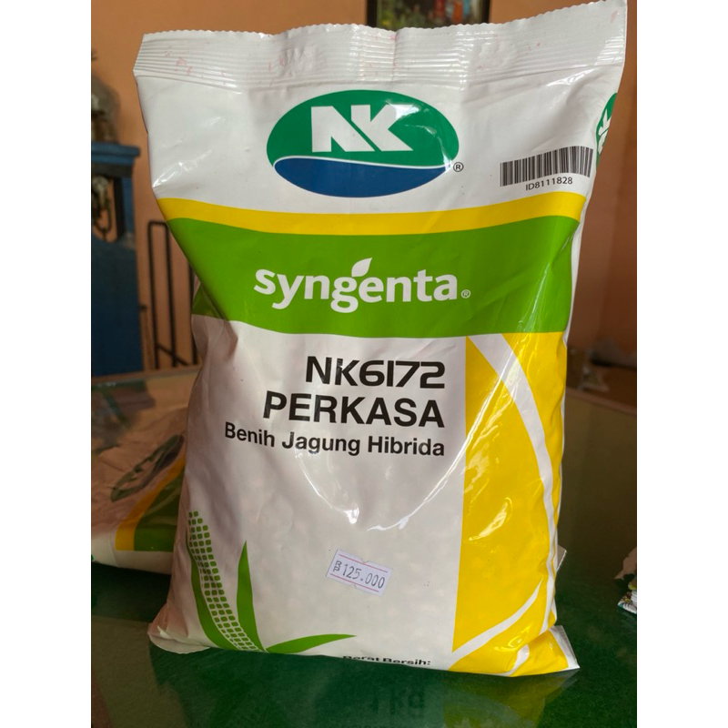 Benih Jagung Nk6172 perkasa syngenta 1kg