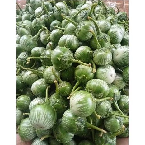 

TERONG LALAP SIAP KONSUMSI (500GRAM)