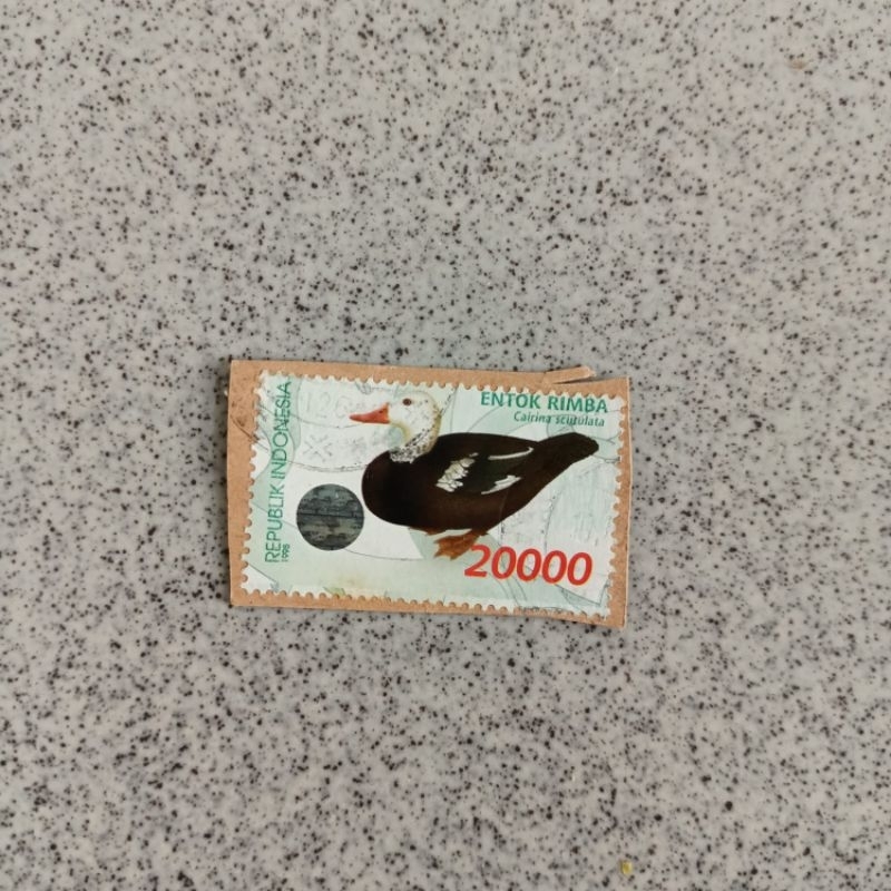 

Perangko used Indonesia Bebek seri 1 Entok Rimba tahun 1998