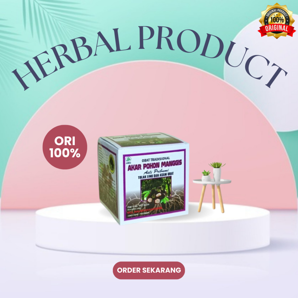 AKAR POHON MANGGIS ASLI