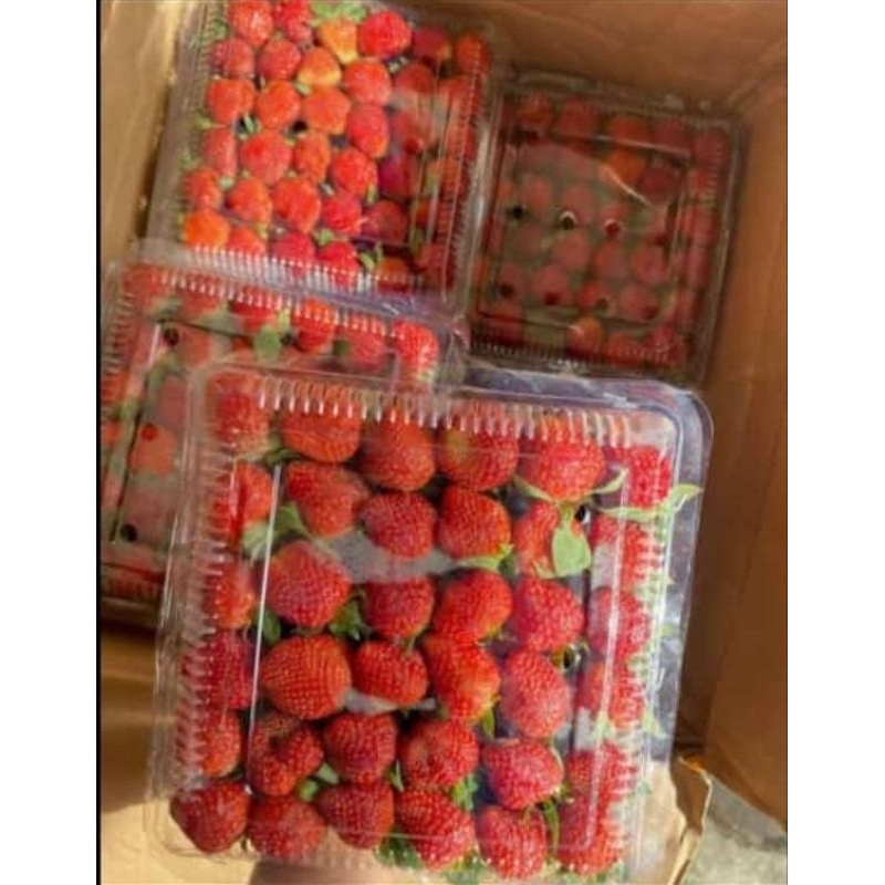 

Strawberry 900g/strawberry atas besar & Bawah kecil