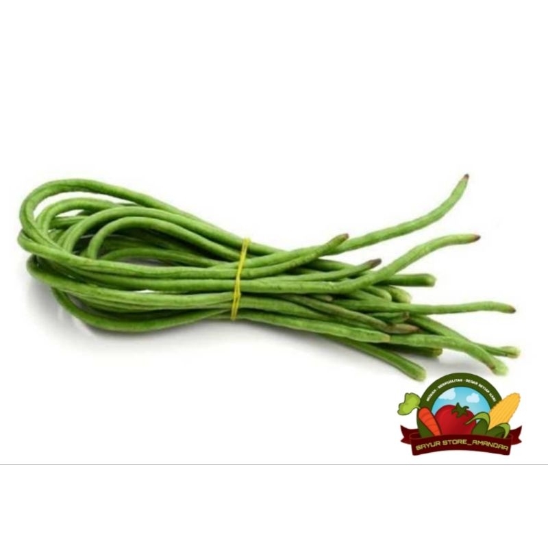 

Kacang Panjang 1 ikat