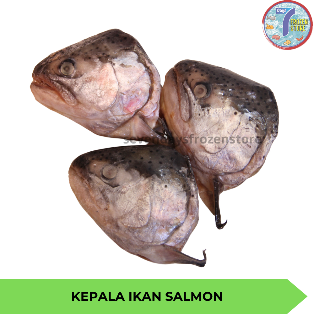 

Kepala Ikan Salmon Frozen Beku Import