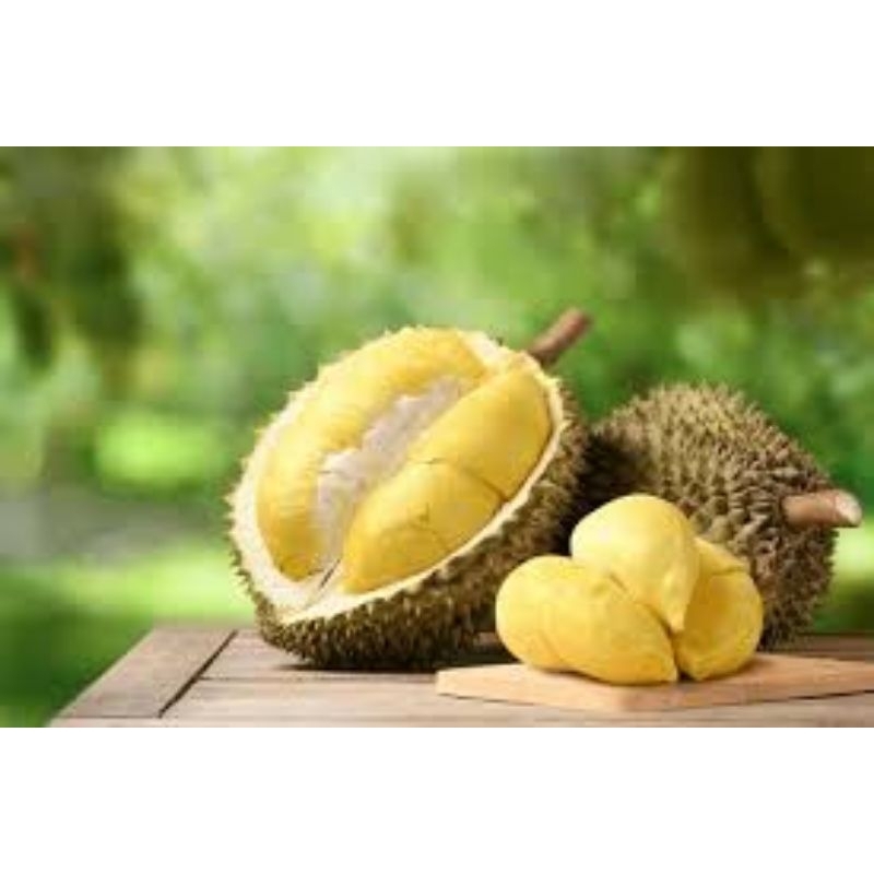 

Durian Montong Palu Bulat Utuh +3KG PREMIUM