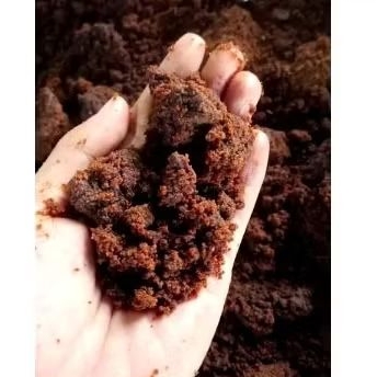 

ASLI GULA TEBU / GULA TEBU GARUK MURNI 100% PABRIK BLITAR