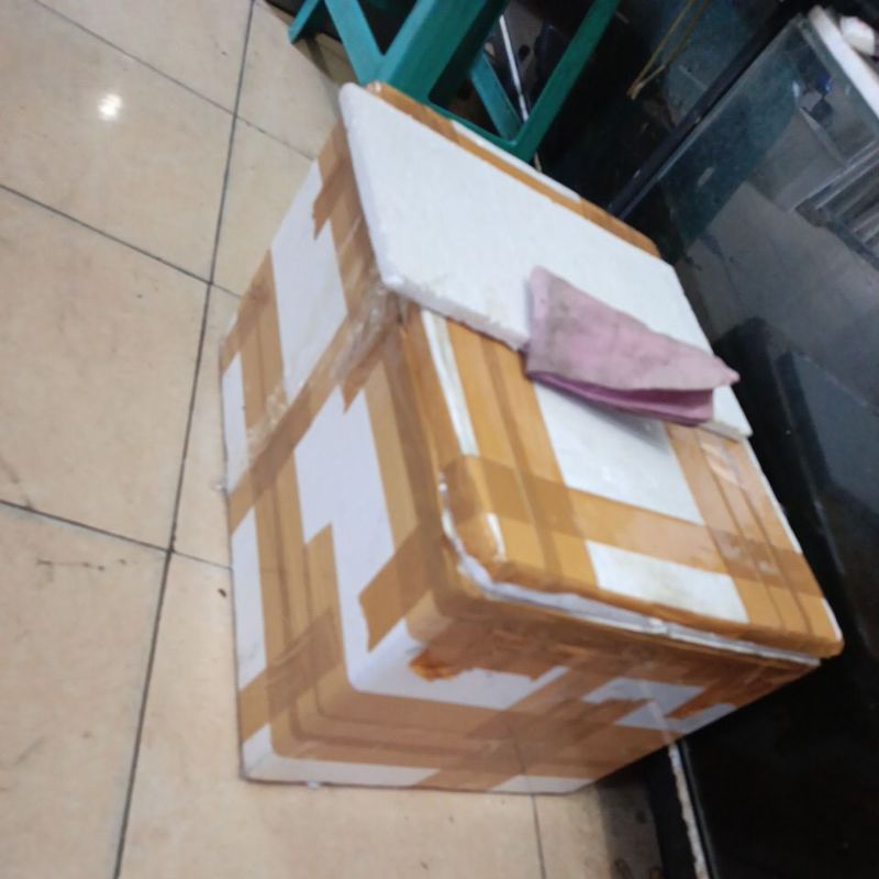 

kardus andrao single tank