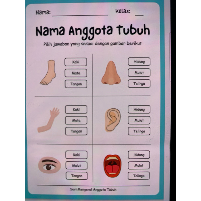 

LATIHAN SOAL TK / PAUD / SD MENGENAL ANGGOTA TUBUH 100 LEMBAR