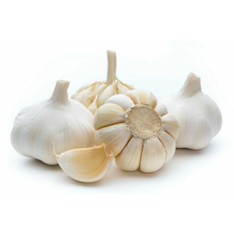 

bawang putih 1bks
