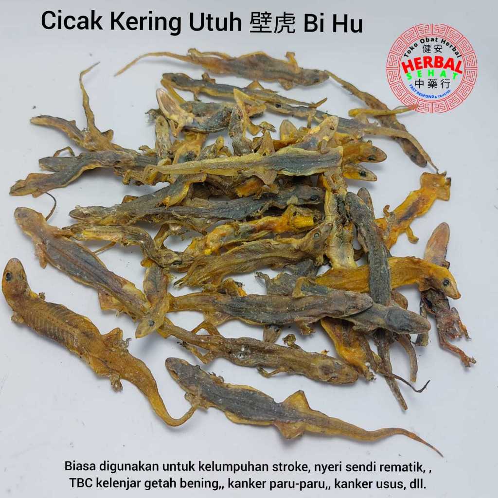 

Cicak Kering Utuh - Bi Hu 壁虎 - BIHU - Mengobati Asma dan Penyakit Kulit