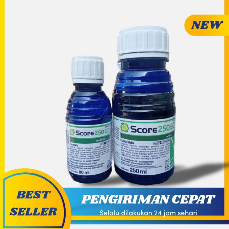 Score 80ml