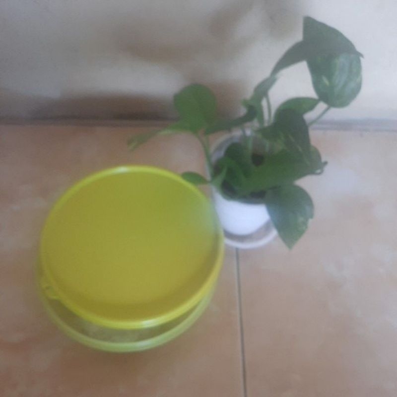 Modular Bowl Tupperware