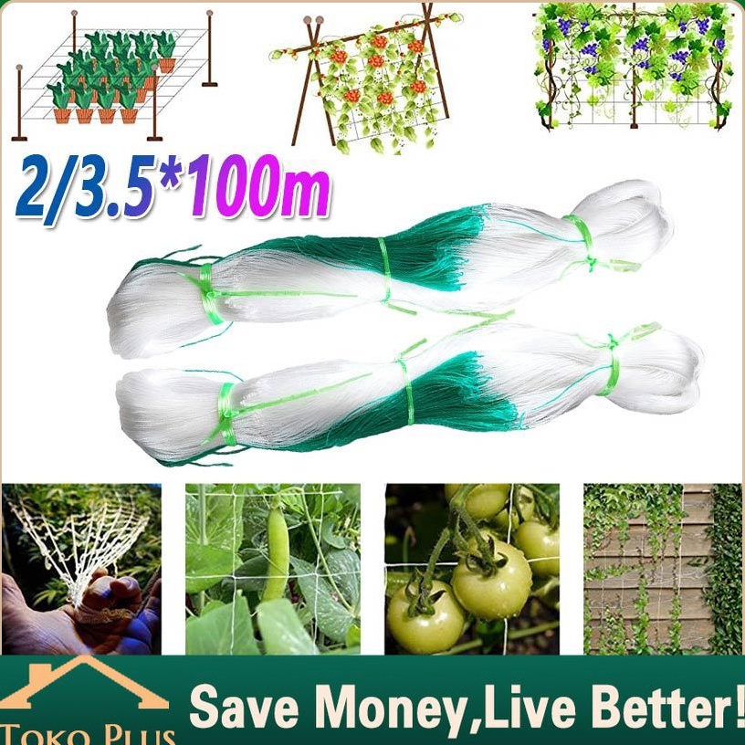 Promo Meriah 1M Jaring Rambatan Tanaman Buah Merambat Plant Climbing Net kebun buah anggurJaring pag
