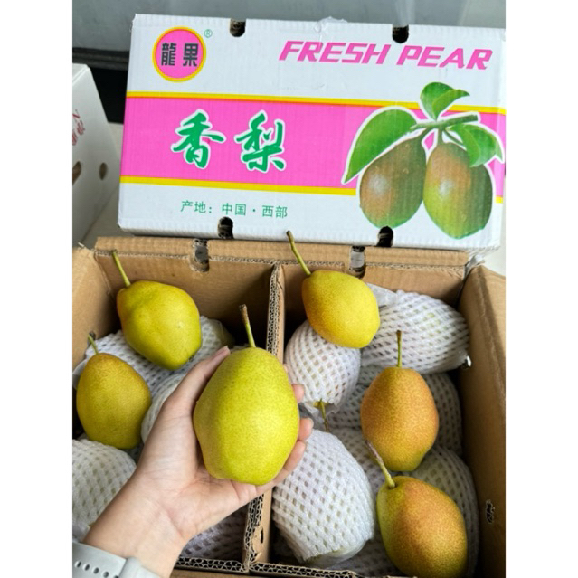 

Pear Xianglie (BOX)