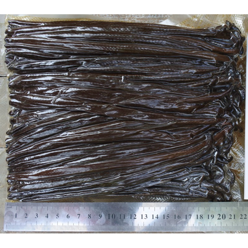 

Vanilla Pod 20cm - Planifolia - Premium Quality