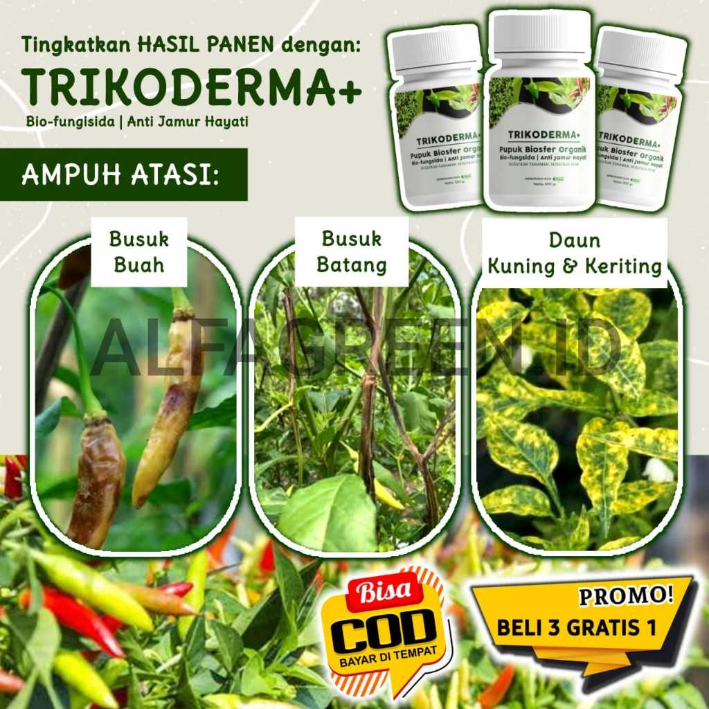 

kardus paking