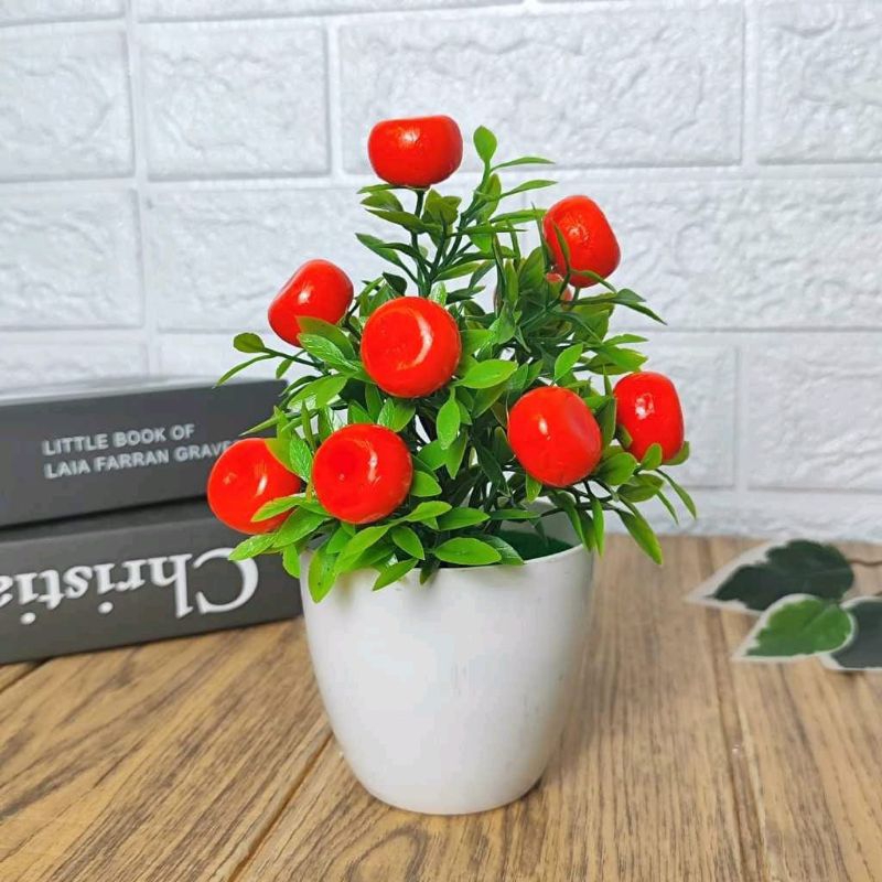 Bunga tanaman hias Tomat