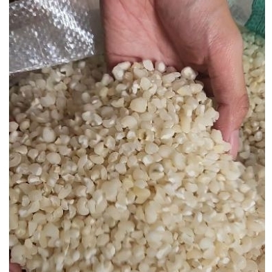 

DEB Jagung bassang bose Sulawesi NTT Alor ketan putih jagung pulut bubur jagung timur