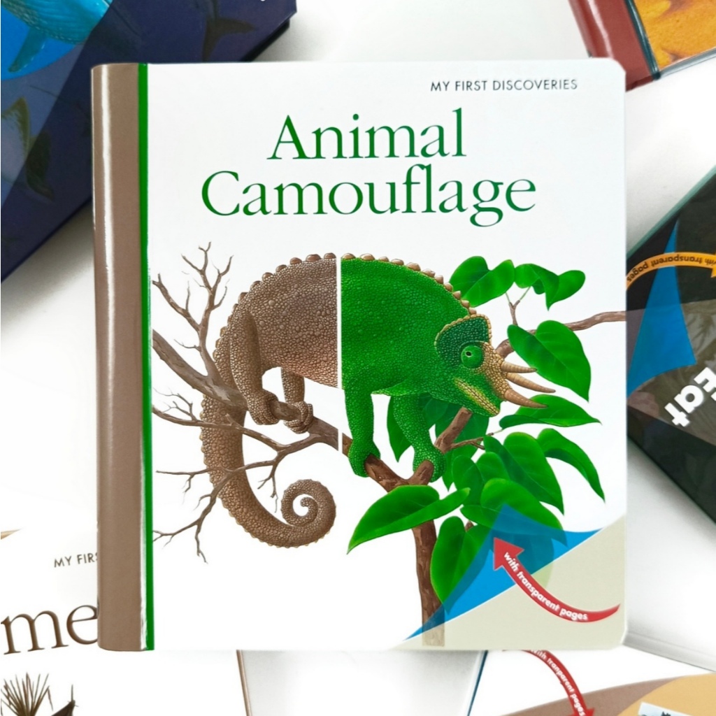 ORIGINAL My First Discoveries Moonlight Publishing - Animal Camouflage - Leon books