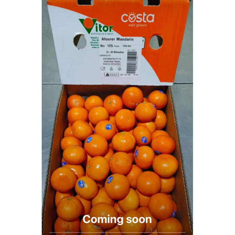 

Jeruk avourer aust vitor orange/ kg