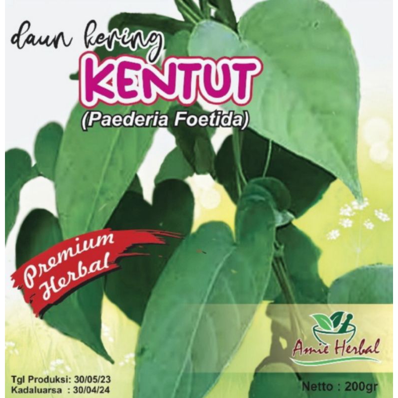 

daun kentut/daun kentutan/daun sembukan/daun kentut kering/herbal daun sembukan.