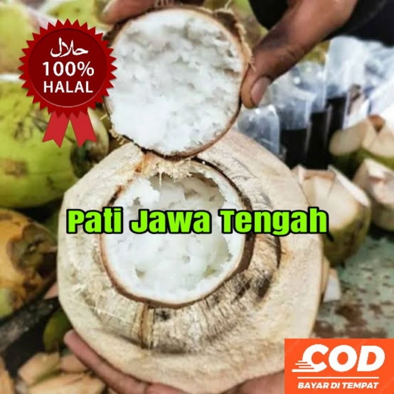 

kelapa kopyor asli Pati fresh 100% size 50-53cm