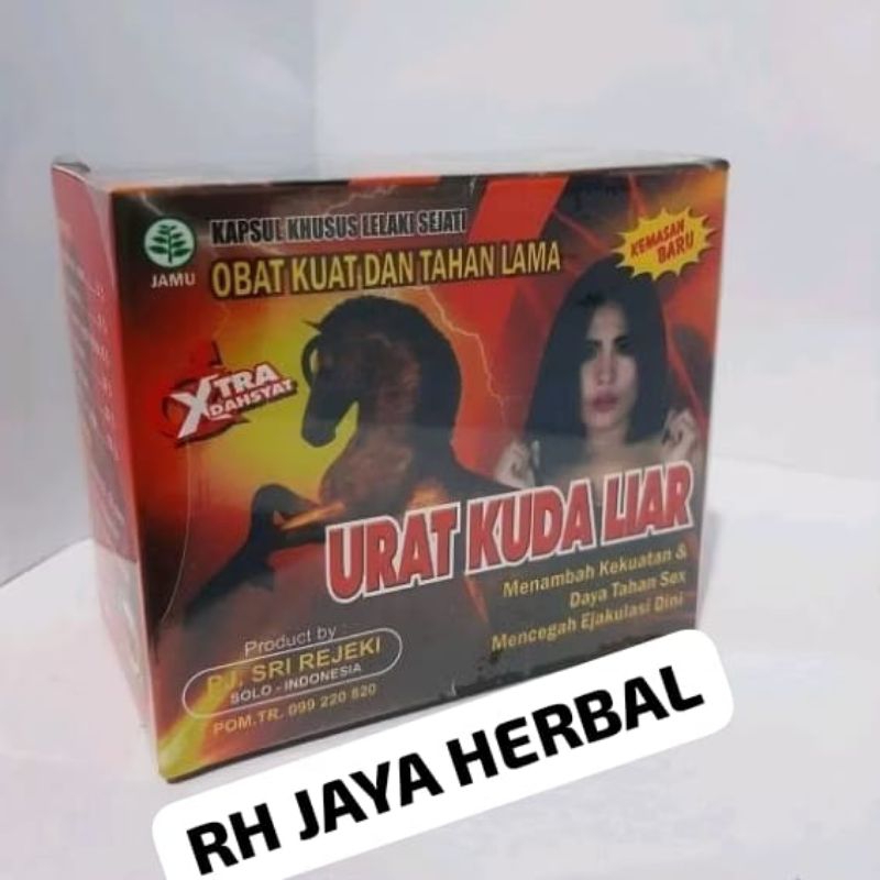 kapsul urat kuda liar